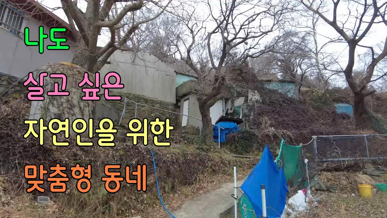 나도 살고 싶은 자연인을 위한 맞춤형 동네[여수인tv]