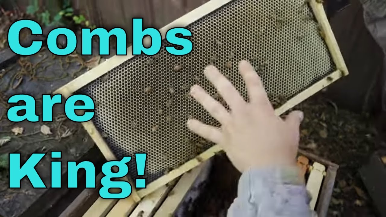 🔥Using Splits to Make EXTRA Combs!
