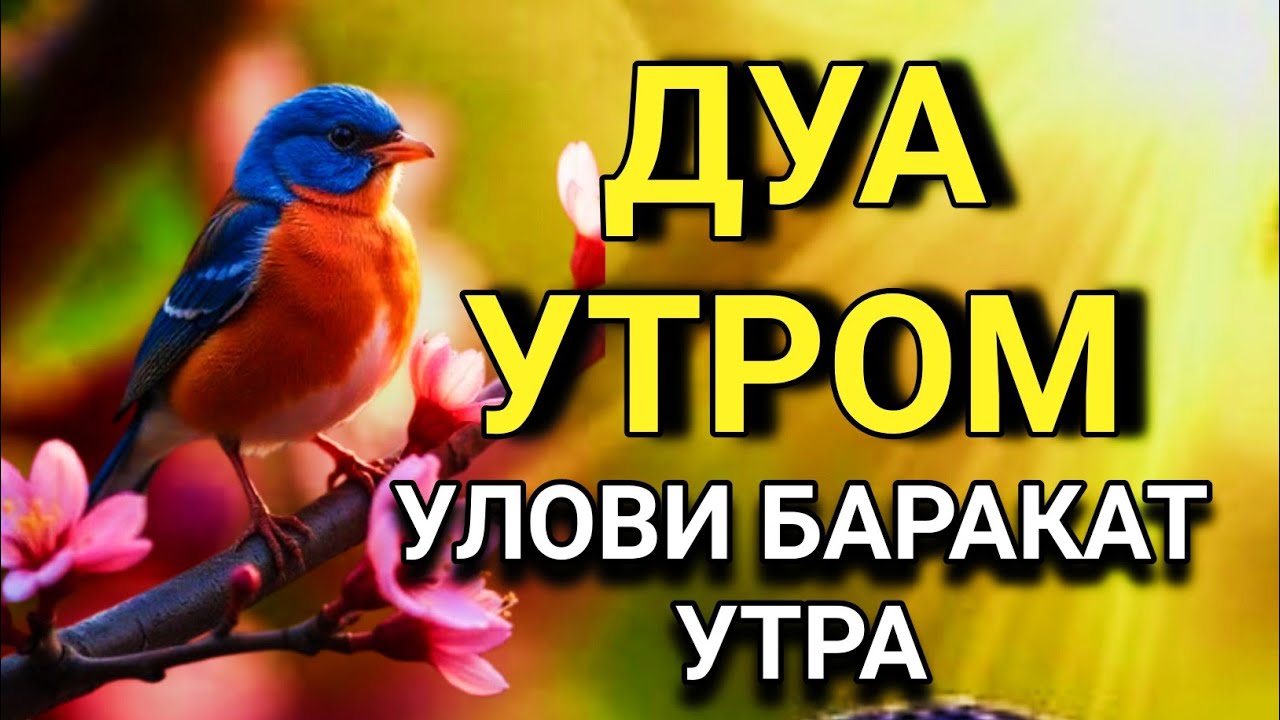💖✨ БАРАКАТ ВО ВСЕМ: ДУА НА КАЖДОЕ УТРО 🤲✨💯