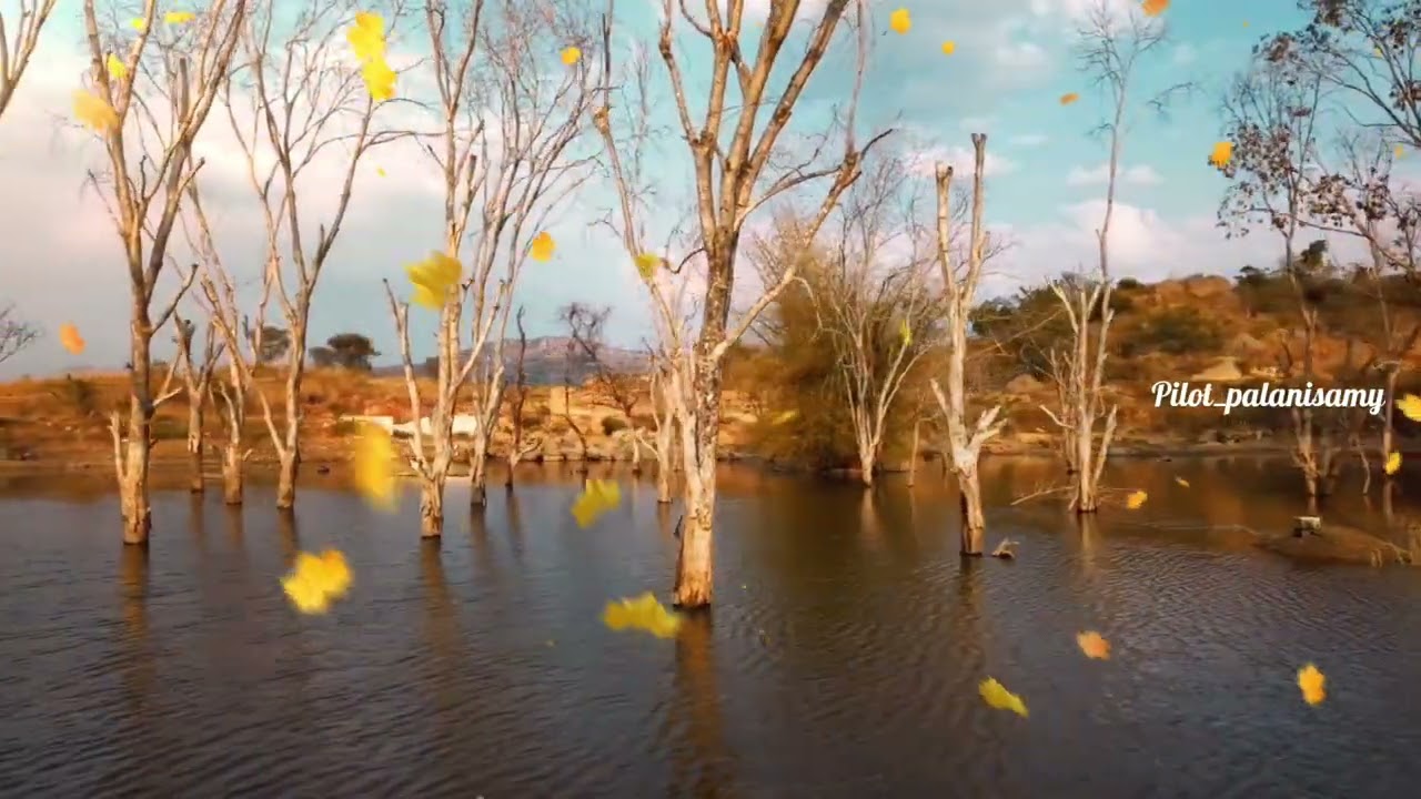 Deadly lake with stunning visuals #dronephotography #nature #wildlife #photography #birds 