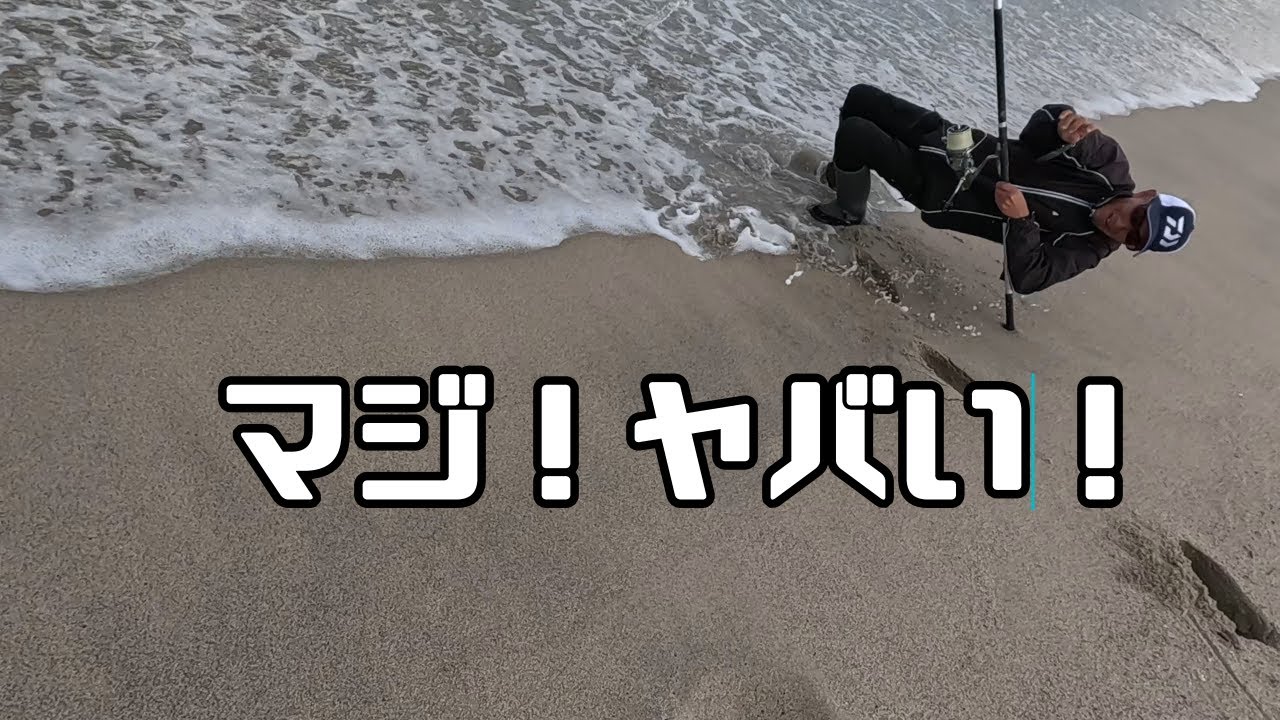 【キス釣り】爆笑大コケ！　落ちキスのハズが？まさかの珍釣行