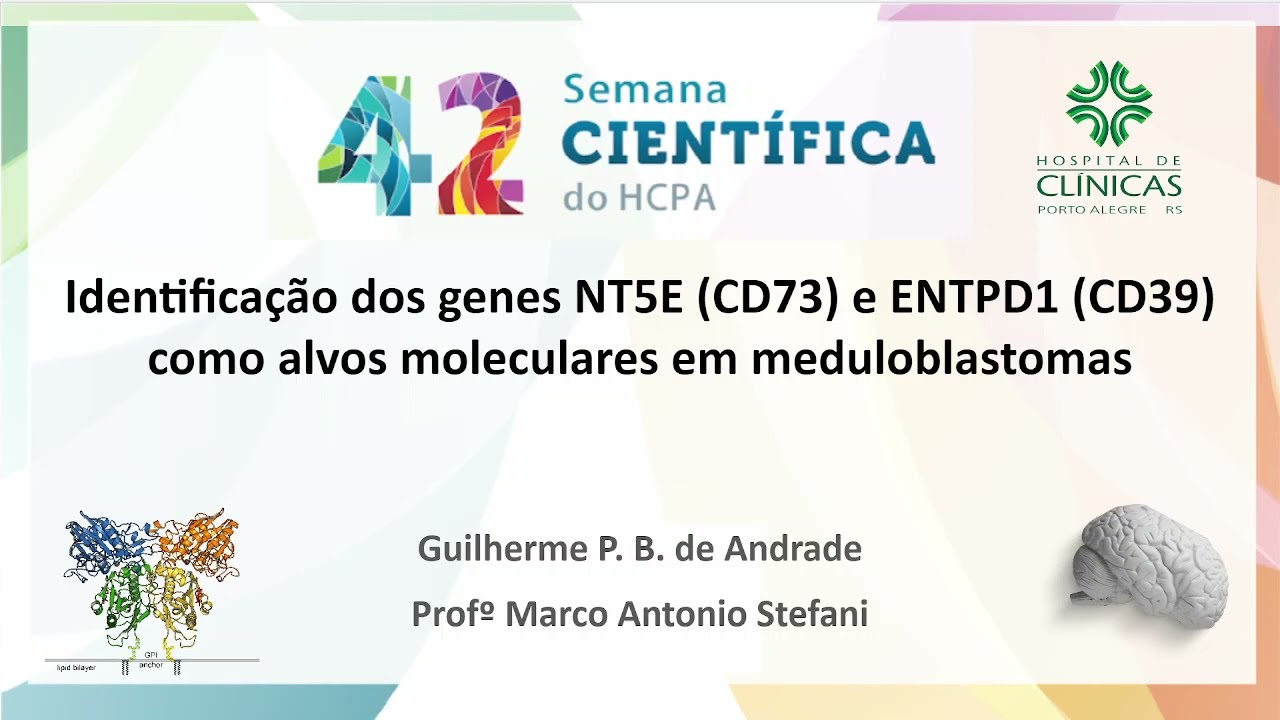 Identifica&ccedil;&atilde;o dos genes NT5E (CD73) e ENTPD1 (CD39) como alvos moleculares em Meduloblastomas