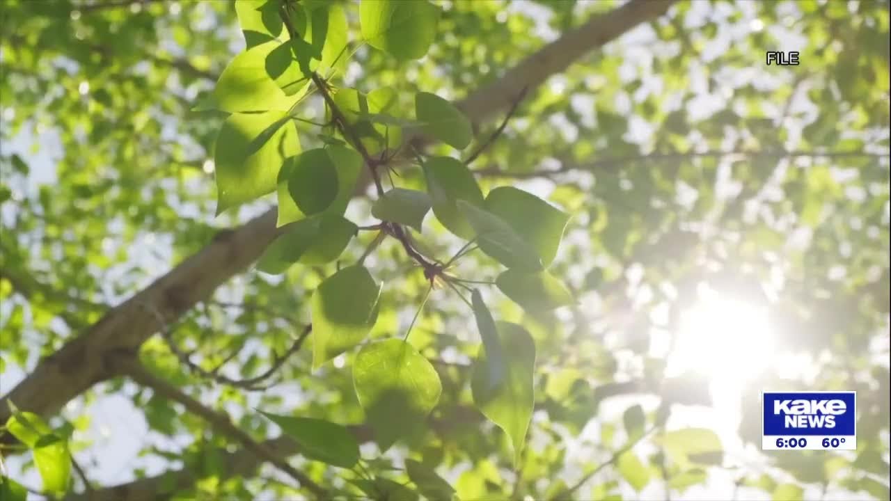 В Канзасе может закончиться переход на летнее время.