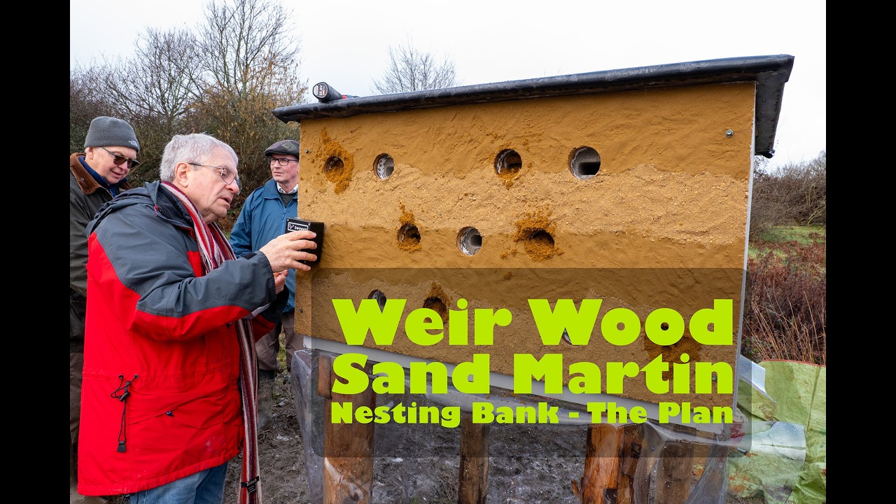 RSPB East Grinstead Local Group build a Sand Martin nest bank