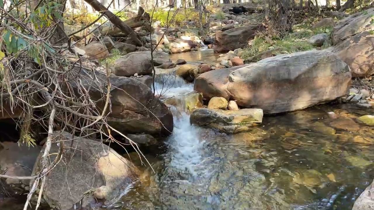 FALL COLORS at Horton Creek Trail - Payson, Arizona 11.4.25