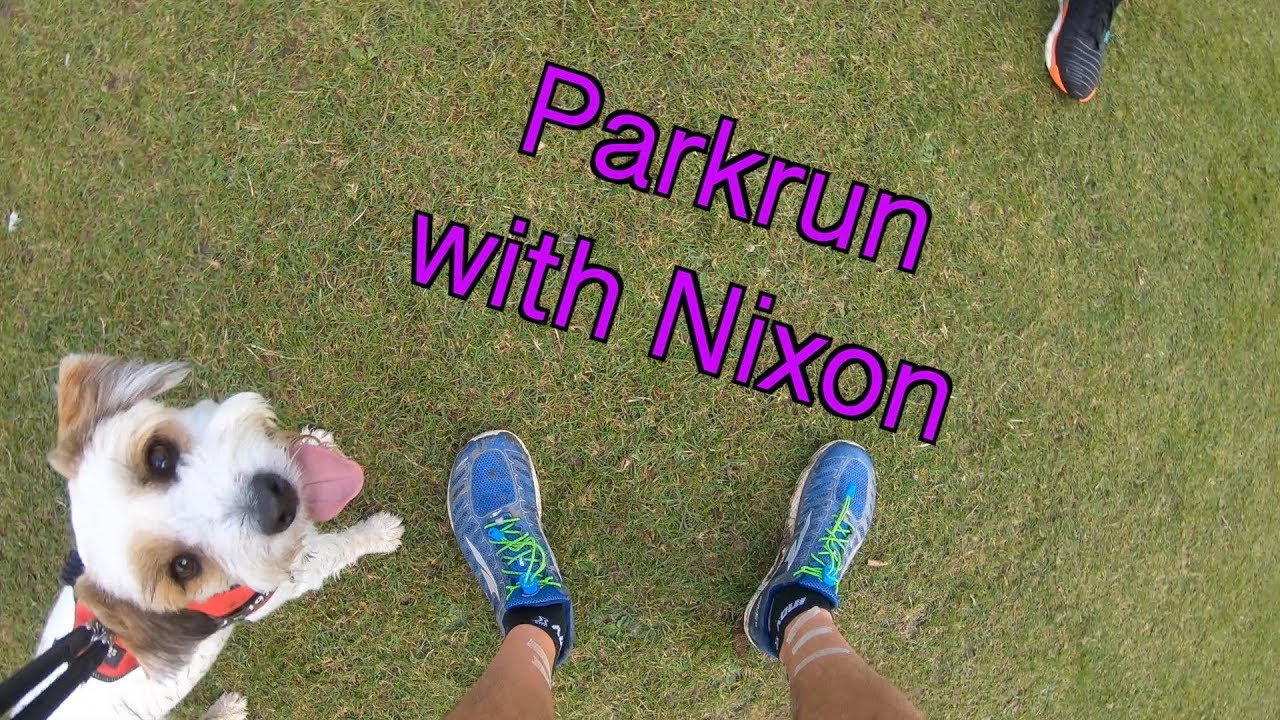 GoPro and Parkrun with Nixon the Dog