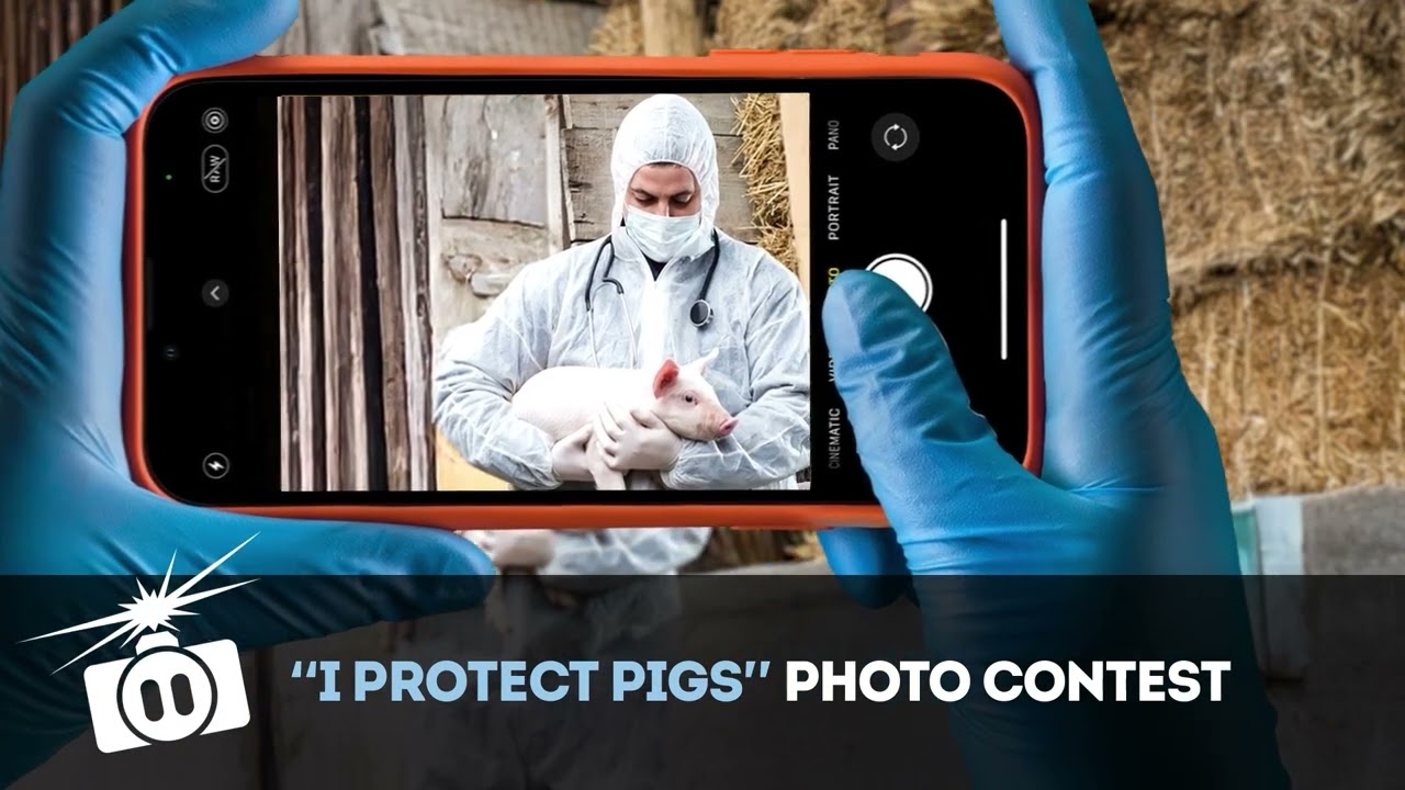 Enter the “I Protect Pigs” Photo Contest