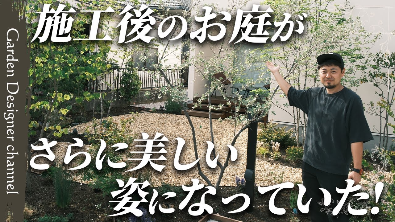 【絶景！】大好評だったお庭の変化に驚愕！植物紹介もたっぷりお届け！【The garden after planting】