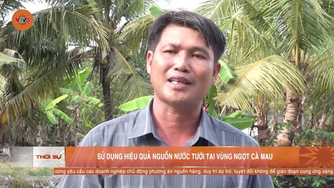 SỬ DỤNG HIỆU QUẢ NGUỒN NƯỚC TƯỚI TẠI VÙNG NGỌT CÀ MAU | VTV5