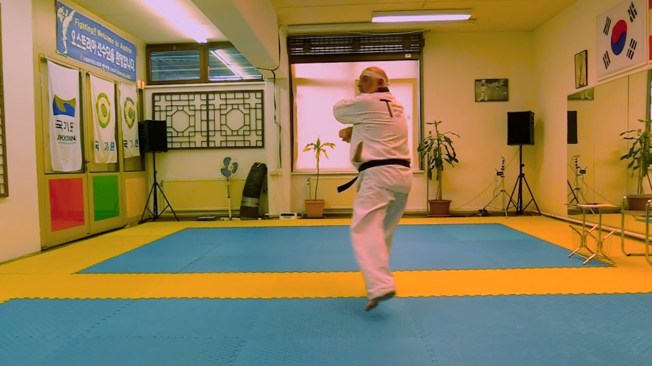 Prüfung zum 7. Dan Taekwondo - Ausschnitte