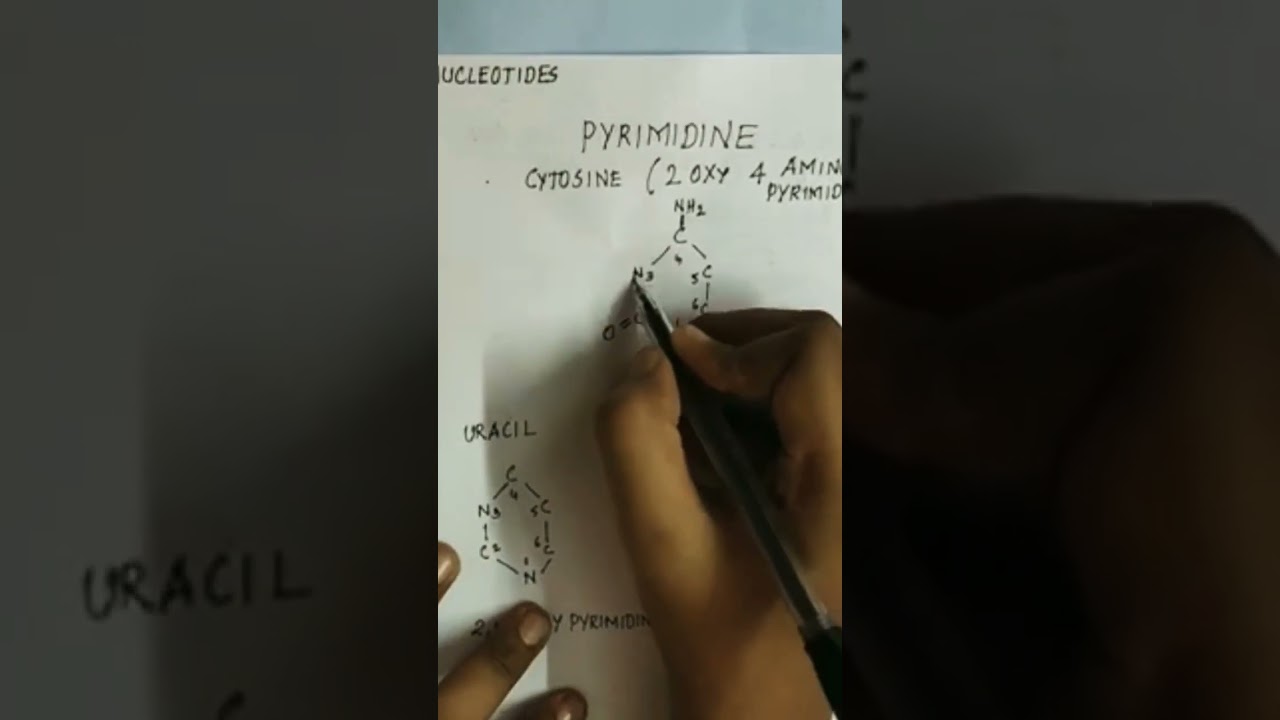 structure of nucleic acid cytosine structure