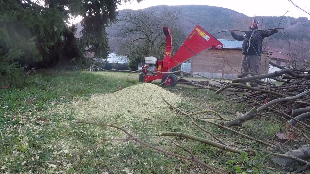 Broyeur DelMorino Scutum SCGX 390 : broyage de branches de platane