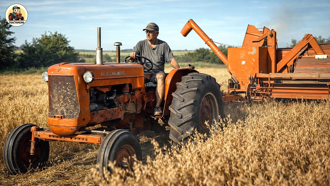 Top 7 Tractors Built to Work