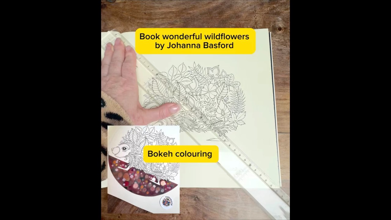 Book „enchanted forest, special edition“ by Johanna Basford. Bokeh colouring