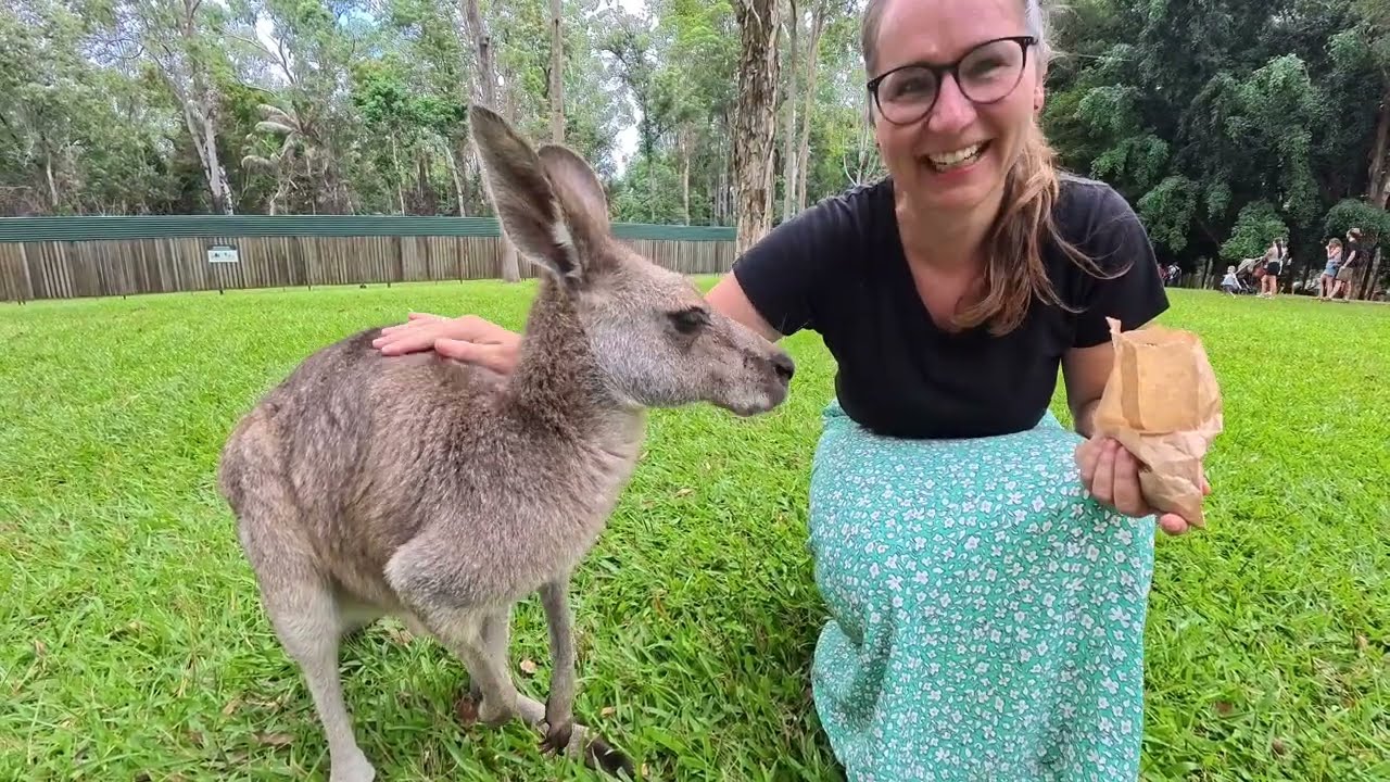 Küste, Kängurus und Koalas - Abschluss des Roadtrips