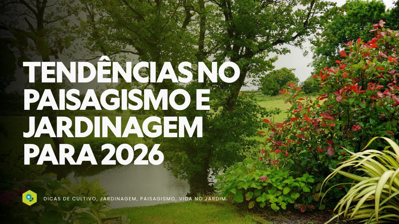 TENDÊNCIAS no PAISAGISMO e JARDINAGEM para 2026