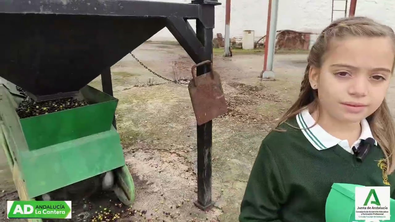 Un colegio con sabor andaluz 