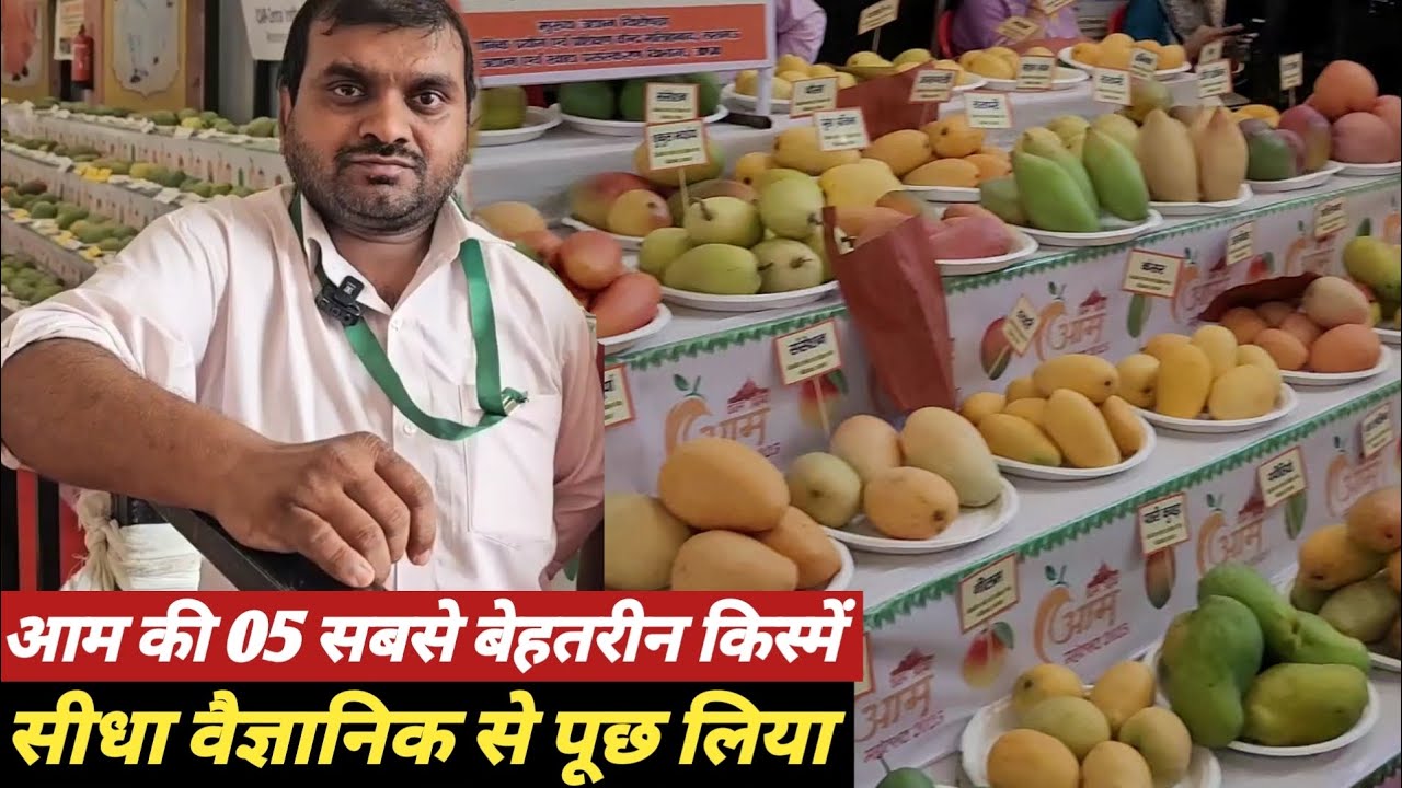Top 05 Aam 🥭 ki prajati Experts ne bata diya : Aam mahotsav 2025
