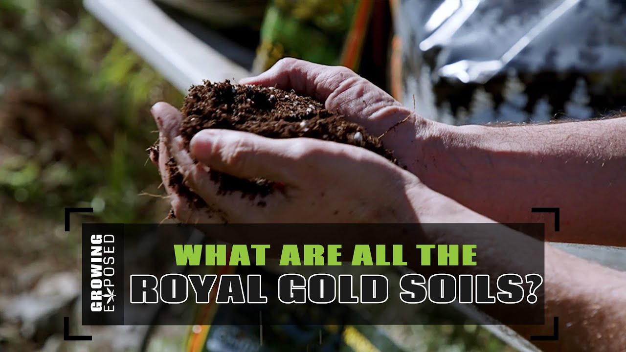 What Are All The Royal Gold Soils?
