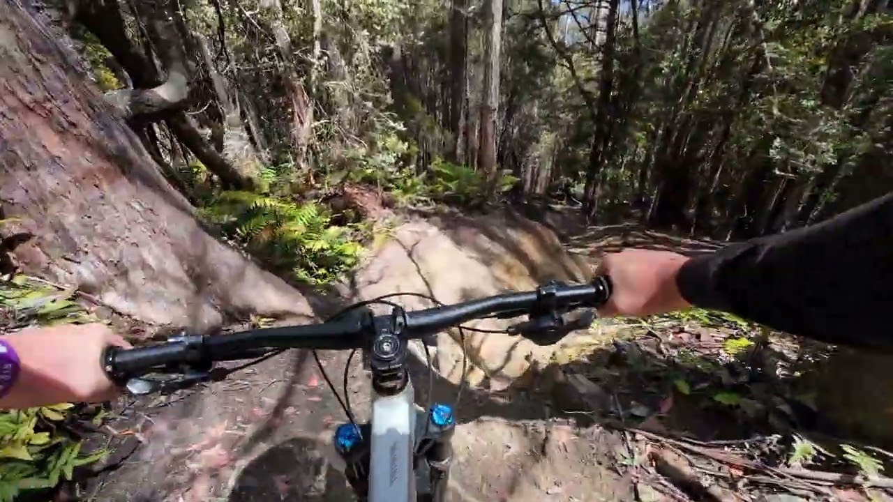 Maydena bike park Tasmania