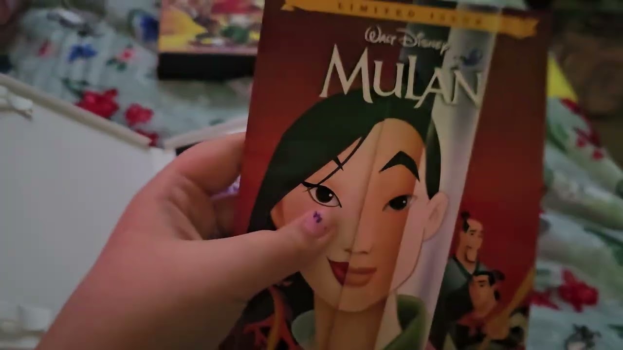 My Chinese New Year DVD Collection 