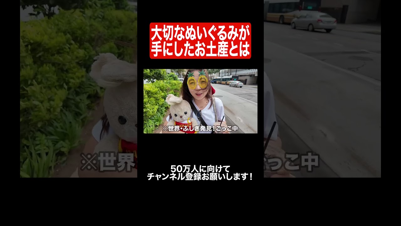 霊視できる方に呪物と言われたぬいぐるみです。