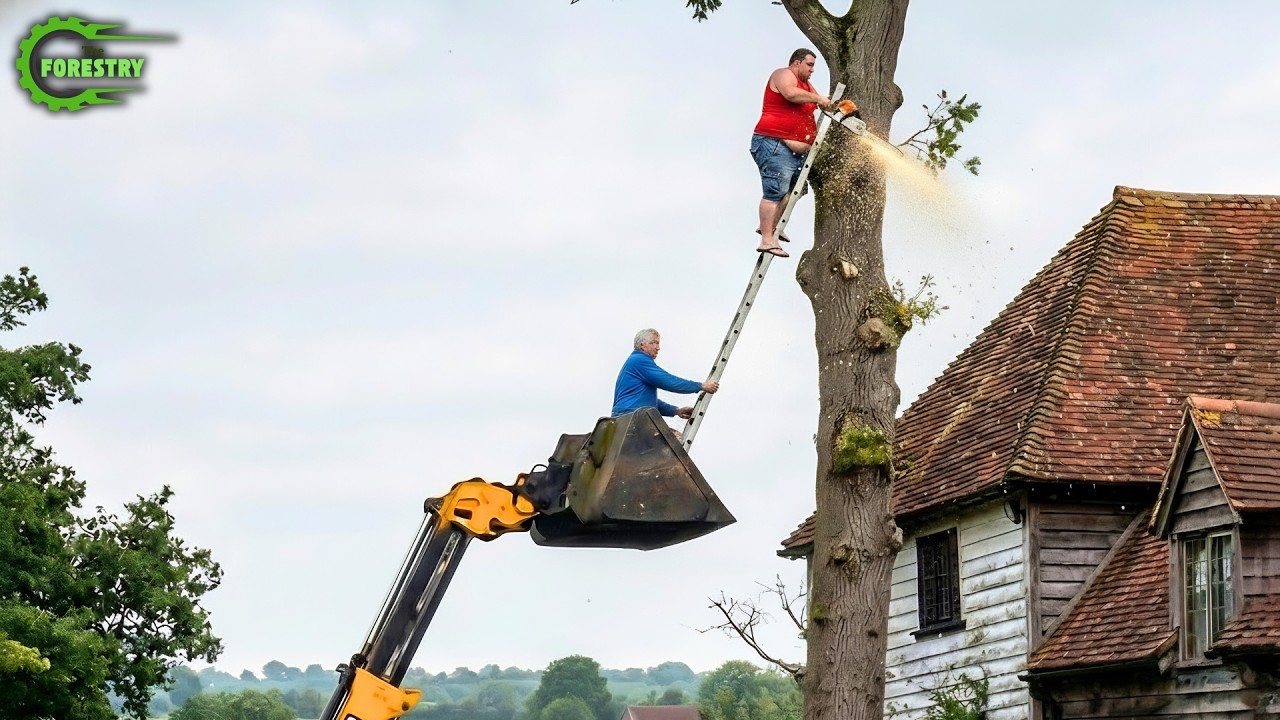 Idiots With Chainsaws: Tree Cutting Fails | Extreme Dangerous Logging Truck Fails #42