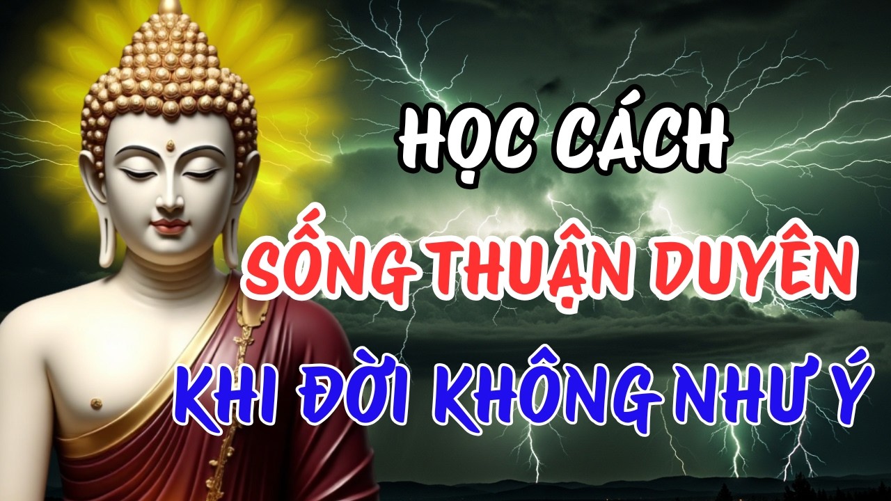 Lời Phật Dạy Về Những Điều Không Như Ý – Học Cách Chấp Nhận Mà Không Cam Chịu