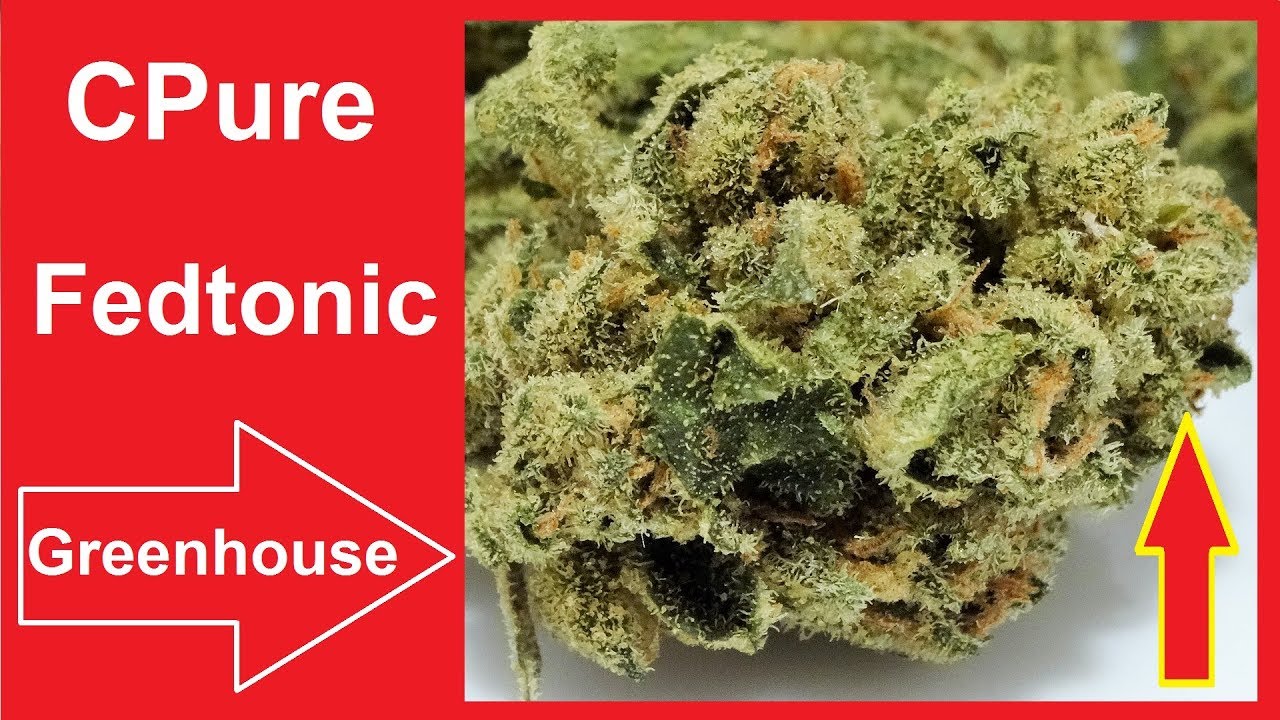 CPure Fedtonic Greenhouse CBD Hanf Test Bl&uuml;ten #CBDTest