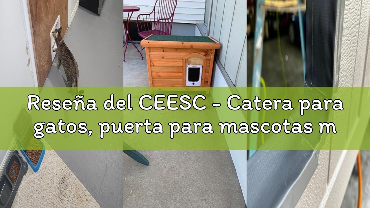 Reseña del CEESC - Catera para gatos, puerta para mascotas magnética con cerradura giratoria de 4 ví