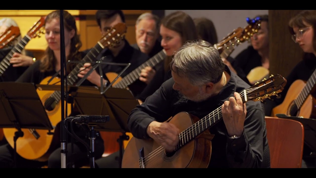 Gerardo Tamez en concierto