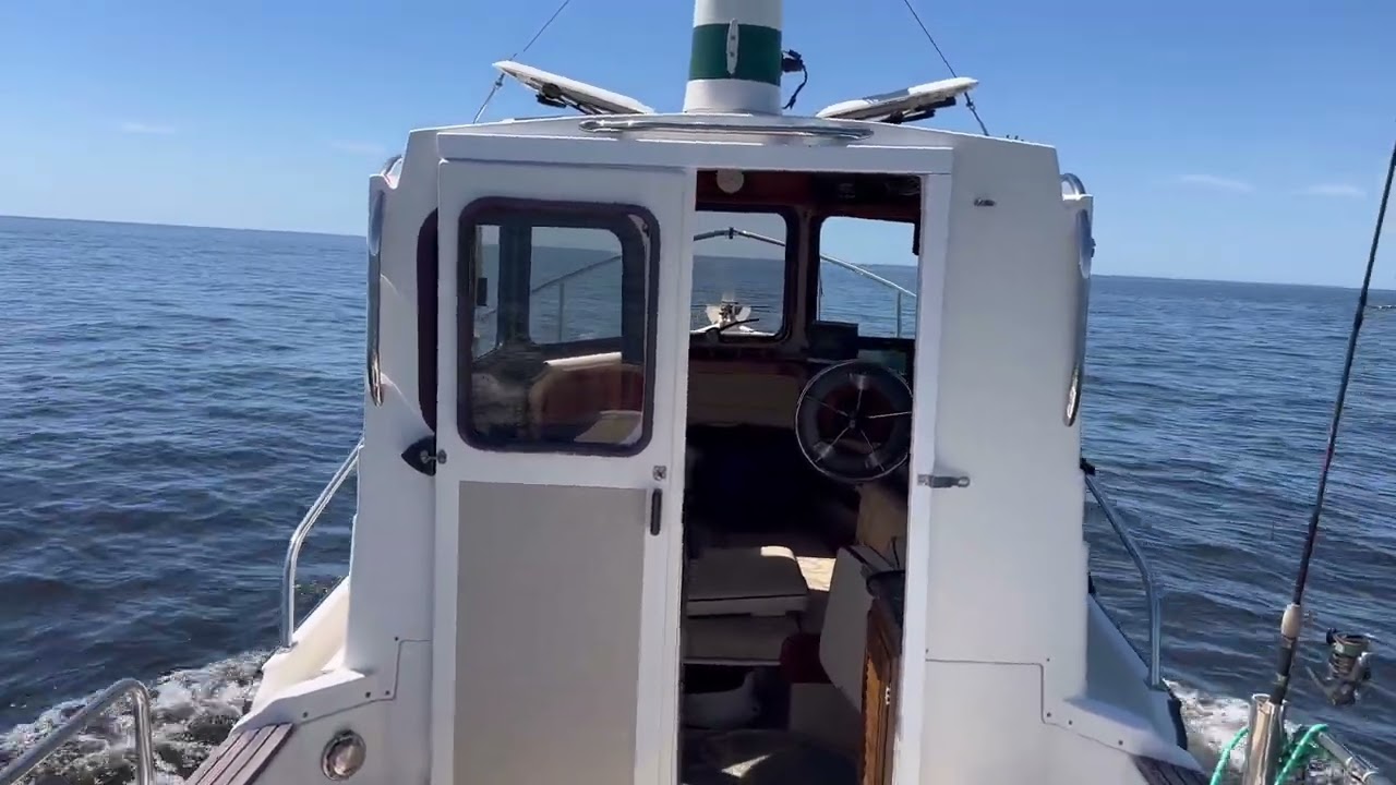 Feeding Frenzy, Dolphins, Five Miles Off-shore, Ranger Tug R21EC