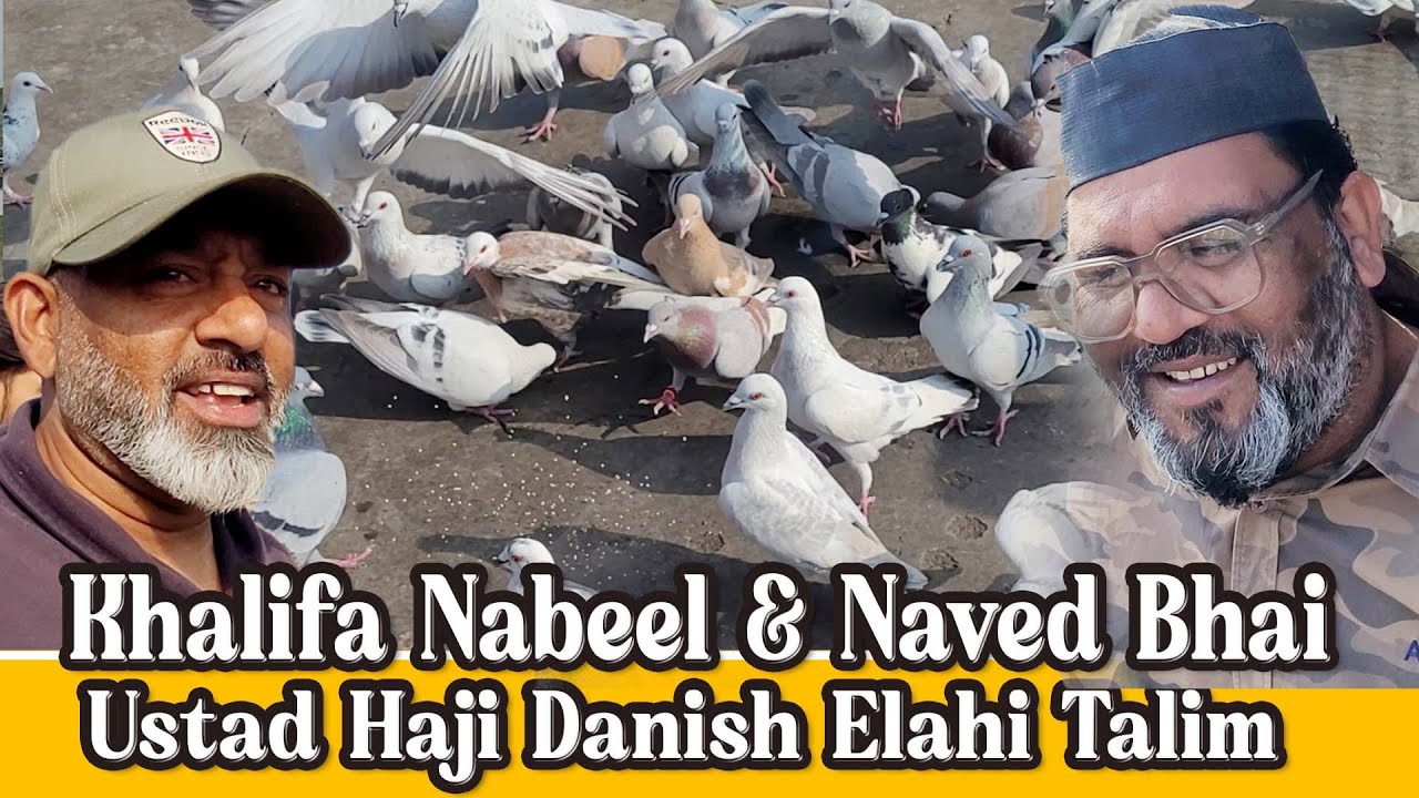 Khalifa Nabeel & Naved Bhai Ka Shok, Ustad Haji Danish Elahi Talim