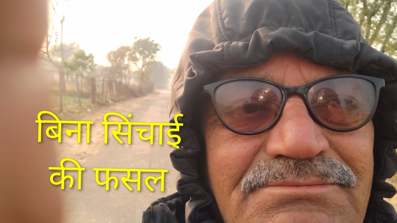 बिना सिंचाई की फसल // @बनवारीलाल7817 // Febuary:02,2026