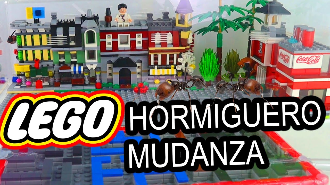 Mudanza de hormigas con 6 REINAS a un hormiguero y ciudad de LEGO