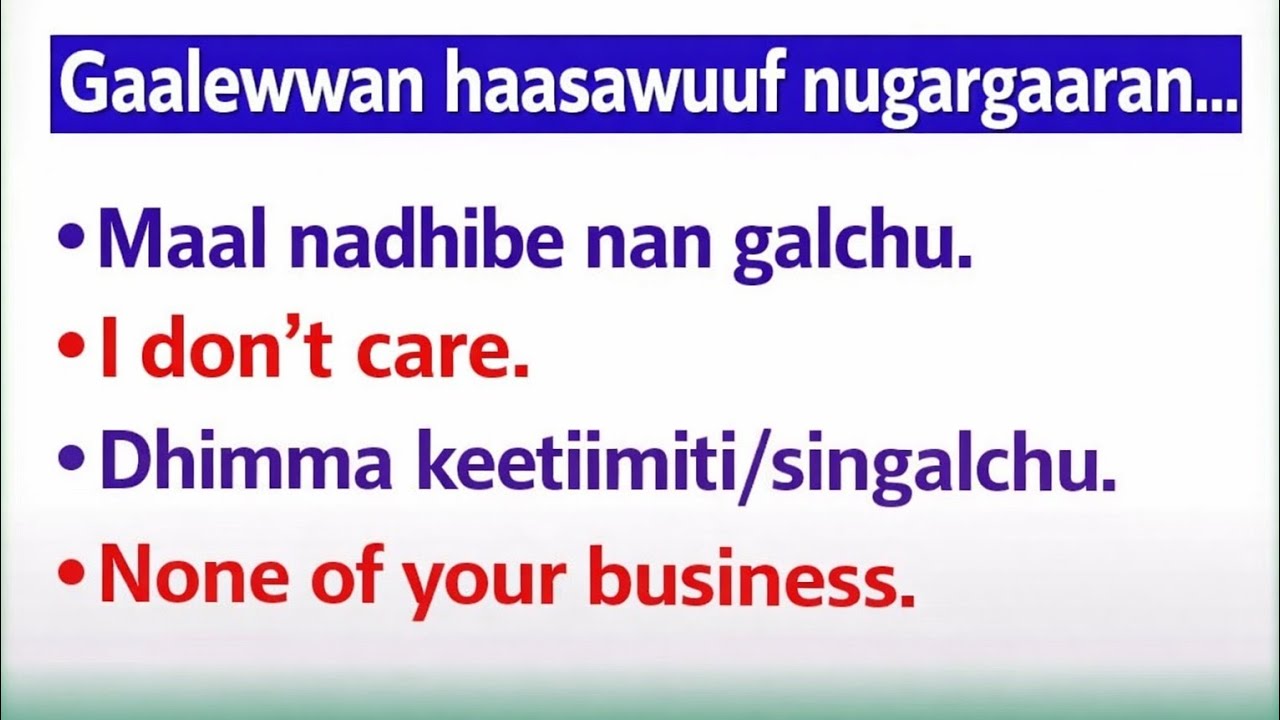 Barnoota Afaan Oromoo fi English guutuu isaa @furtuu1 