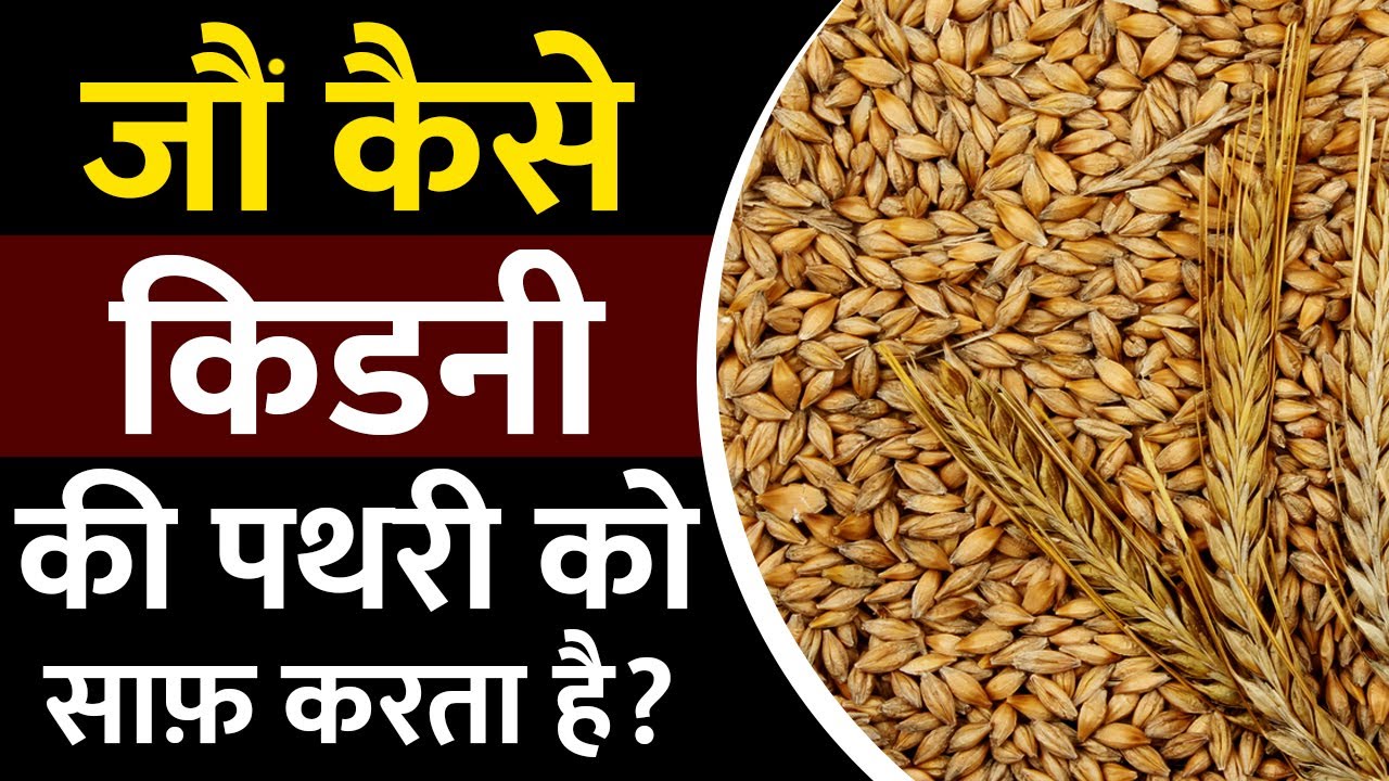 दिन में एक बार खाये और किडनी पथरी से पाए छुटकारा | Jau For Kidney Stone | Kidney Ayurvedic Treatment