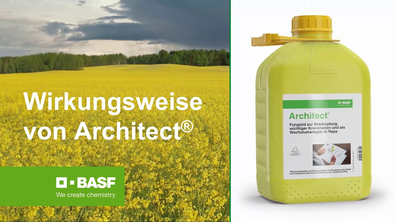 Wie wirkt Architect&reg;?