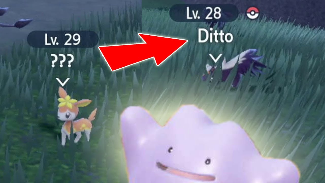 So findet ihr Ditto am schnellsten in Pok&eacute;mon Karmesin und Purpur