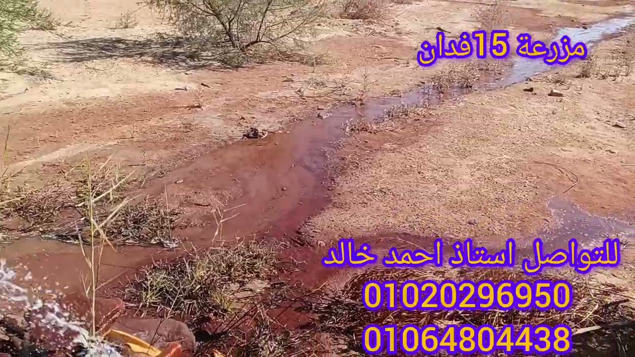 مزرعة 15فدان #الواحات_البحرية للتواصل 01020296950
