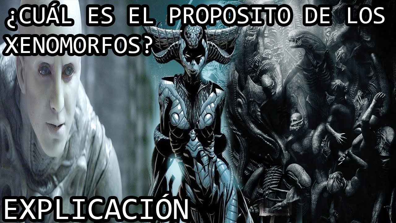 ¿Cuál es el Propósito de los Xenomorfos? | El Siniestro Propósito de los Aliens y el Virus Xenomorfo