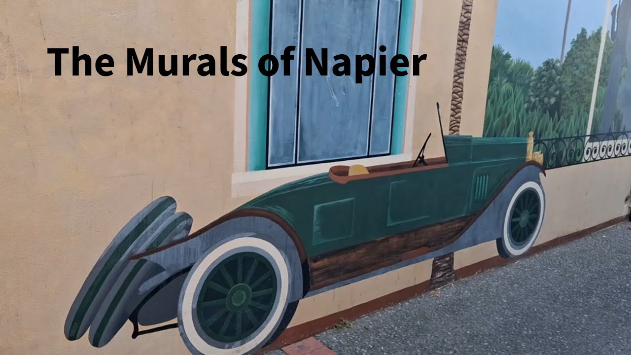 Napier Murals