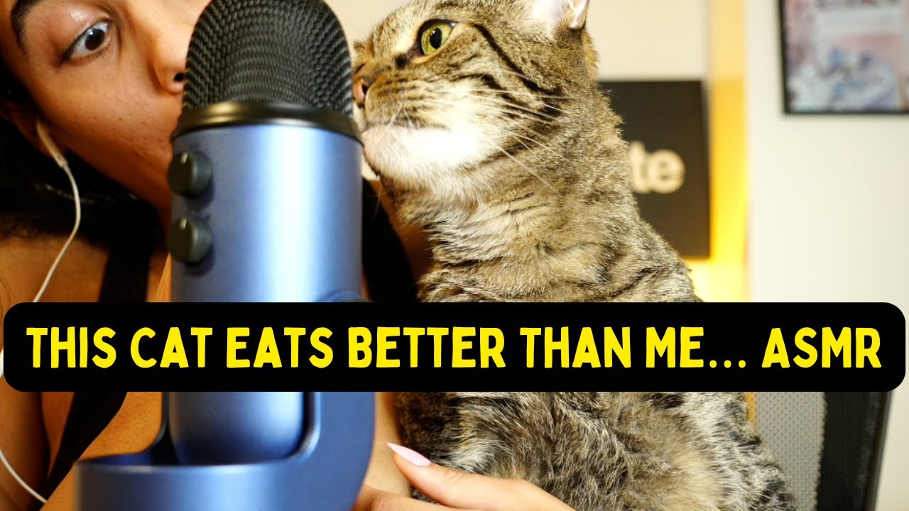 ASMR | Cat was not playing with his treat.....lol