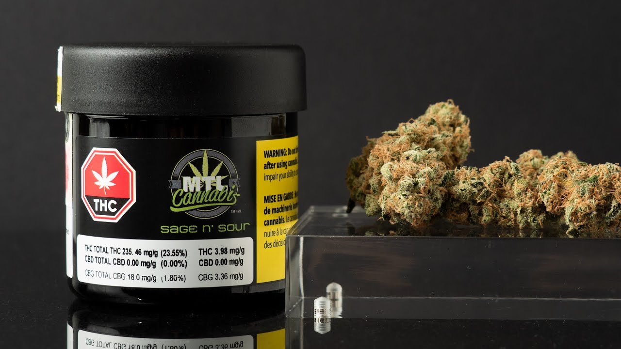 Ep.26 MTL Cannabis SAGE N SOUR Flower ( Sativa )