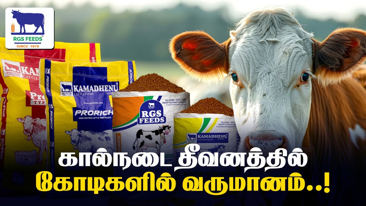 தமிழ்நாட்டின் முன்னணி மாட்டுத் தீவன நிறுவனம் - Kamadhenu Cattle feeds | Business Tamizha