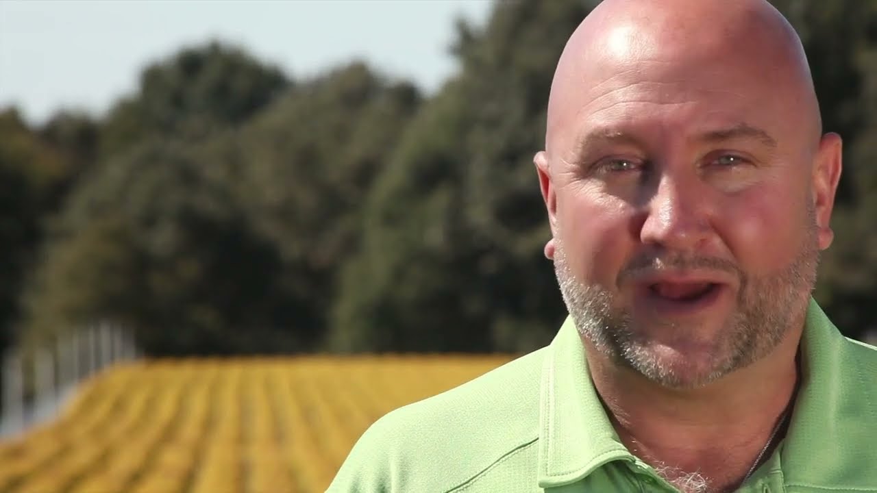 PlantHaven Video - Abelia Kaleidoscope Growers
