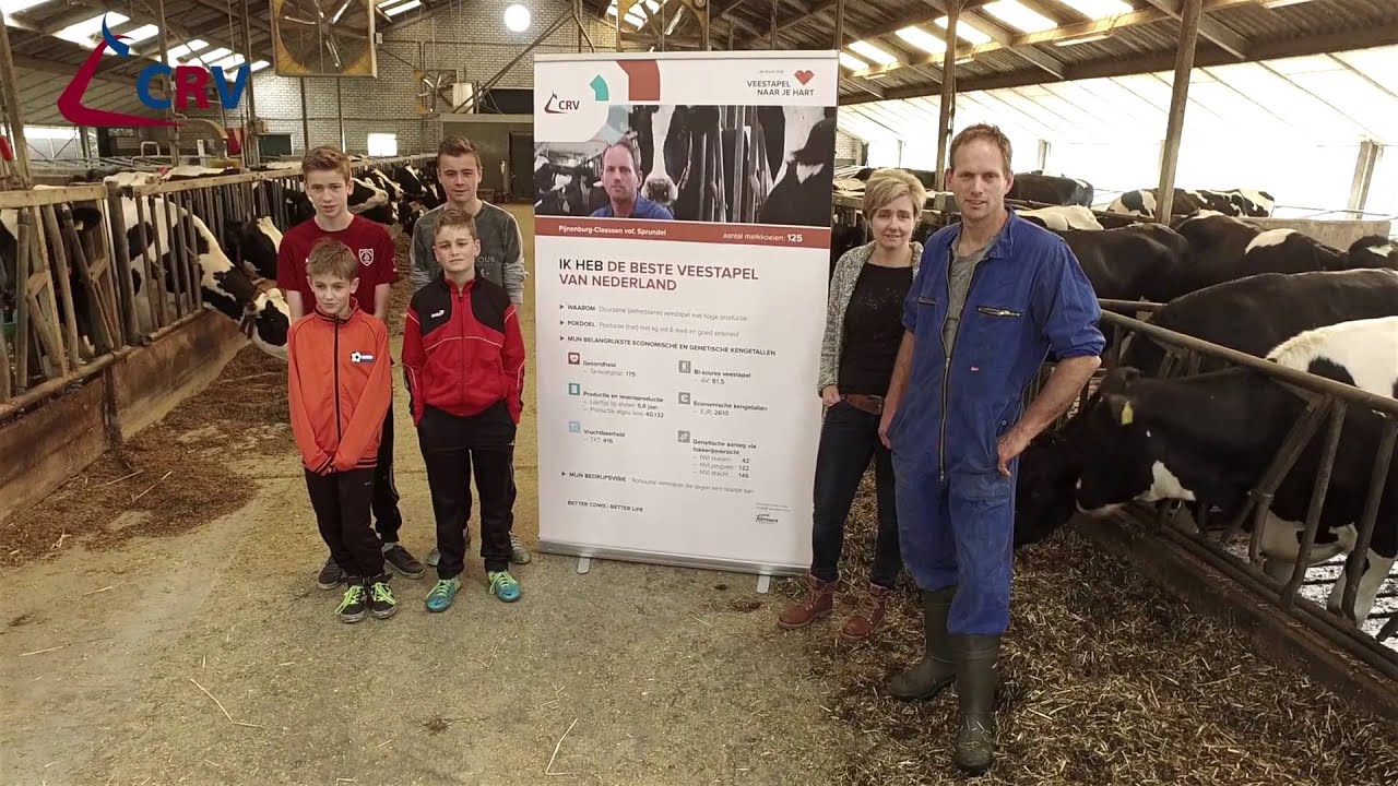 Finalist verkiezing Beste veestapel VOF Pijnenburg-Claassen