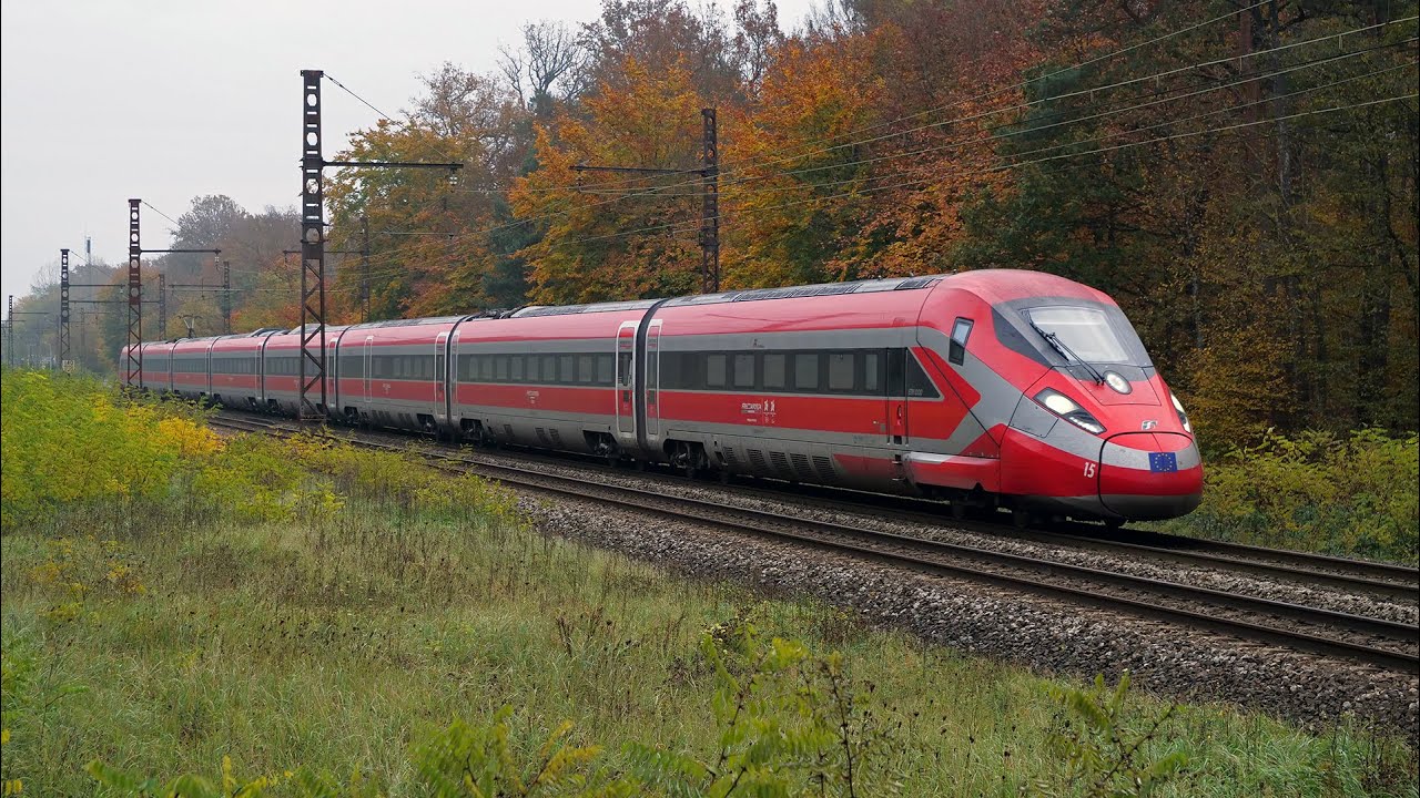 TGV, Lyria, Ouigo et Frecciarossa détournés dans la forêt de Fontainebleau