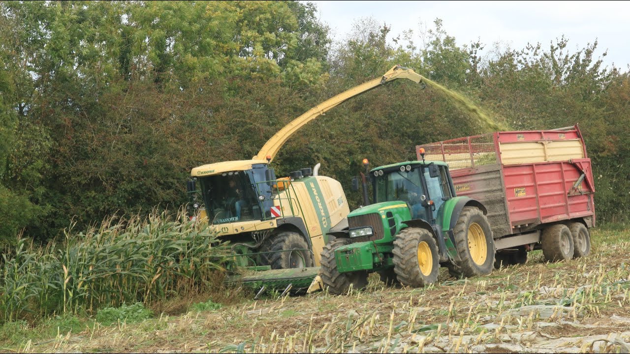 Cutting Maize With N Rickey And Kiernan Agri 2021