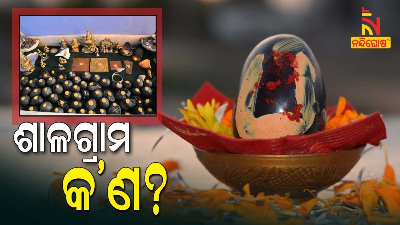 What Is Shaligram, Know The Story Behind Shaligram | NandighoshaTV